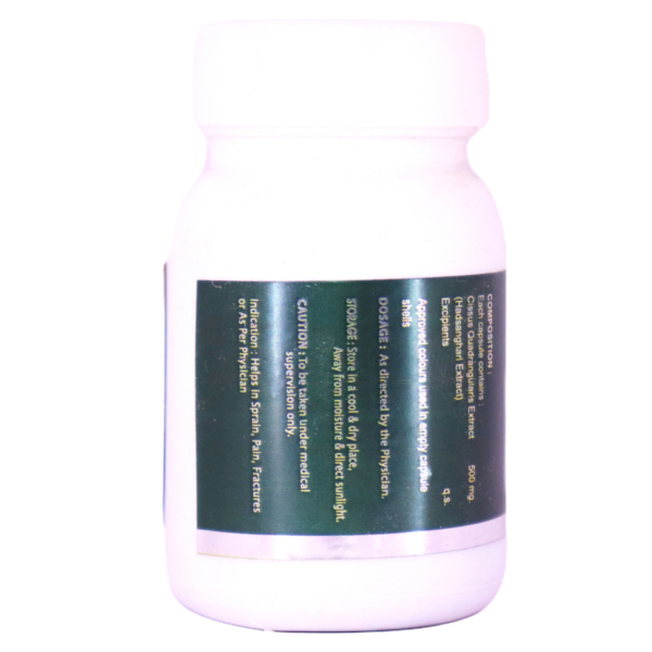 Conexus (Cissus Quadrangularis Extract 500 mg) - Image 2