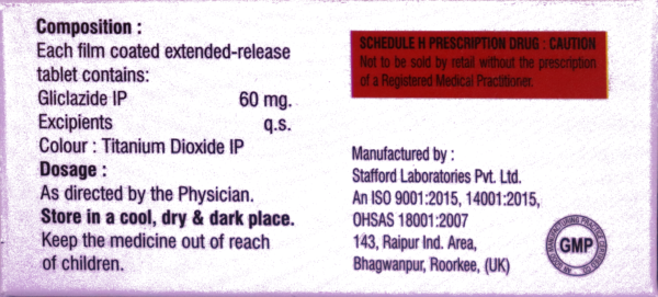 NB-BIOGLICA 60 XR (GLICLAZIDE EXTENDED-RELESE TABLETS 60 MG) - Image 3
