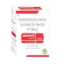 AGROCORT 100MG (Hydrocortisone (100mg))